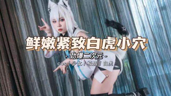 鲜嫩精致的小白虎二次元。