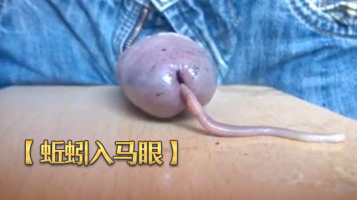 【蚯蚓入马眼】奇特重口味虐鸡 再打飞机射出来-变态