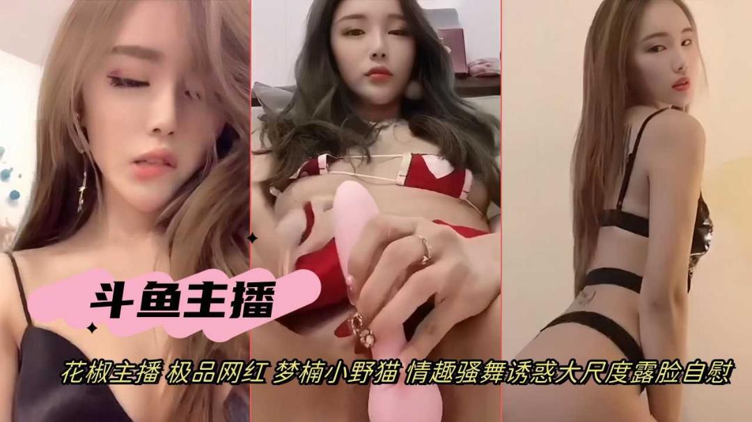 推荐抖音网红女主播梦楠小野猫情趣骚舞道具自慰诱惑露脸自慰